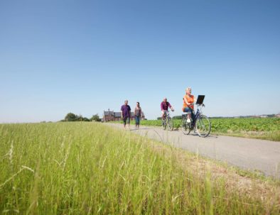 Brugse Ommeland fietsen